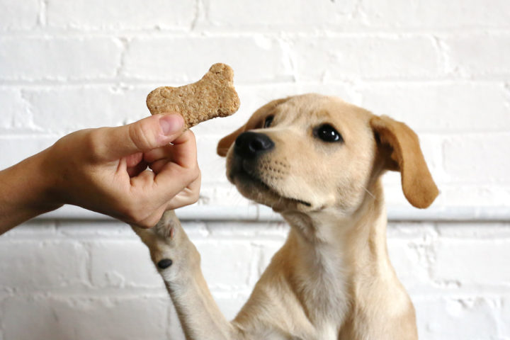 are homemade dog treats safe